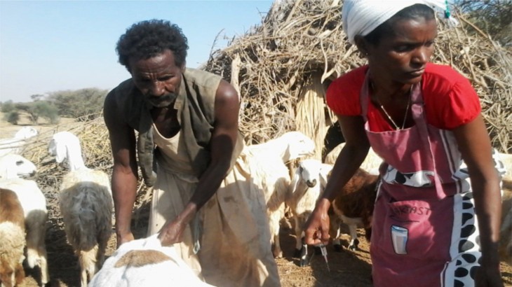 eritrea-vaccinations-facts-and-figures-2015-hl